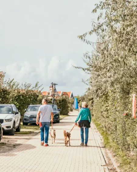 Twee mensen wandelen met een hond over een groene campingweg op Strandpark De Zeeuwse Kust met geparkeerde auto's en vakantiehuisjes op de achtergrond